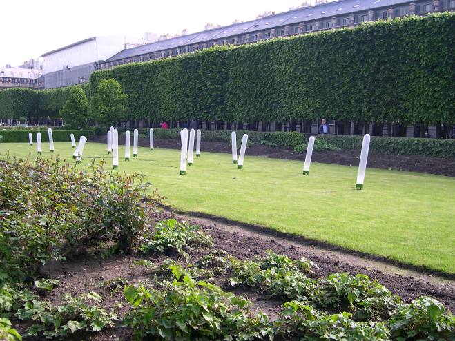  préservatifs géants (jardin du Palais royal)
